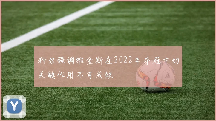 科尔强调维金斯在2022年夺冠中的关键作用不可或缺