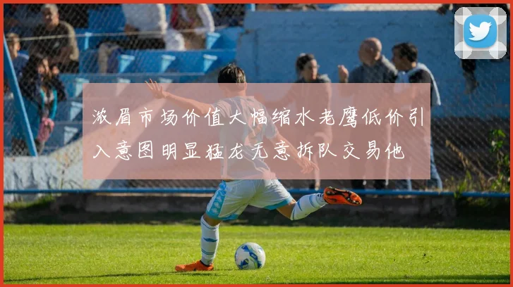 浓眉市场价值大幅缩水老鹰低价引入意图明显猛龙无意拆队交易他