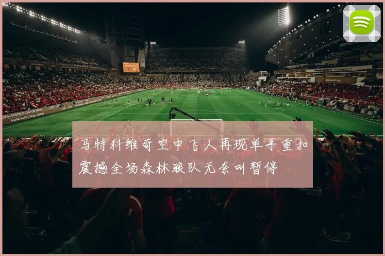 马特科维奇空中飞人再现单手重扣震撼全场森林狼队无奈叫暂停