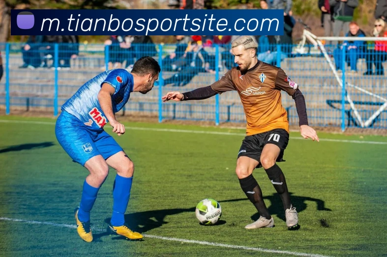 天博体育全站App